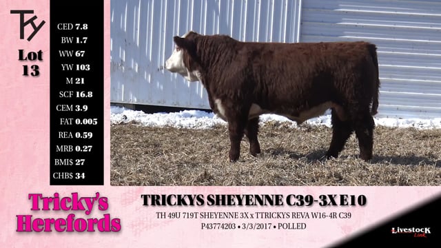Lot #13 - 