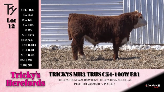 Lot #12 - 