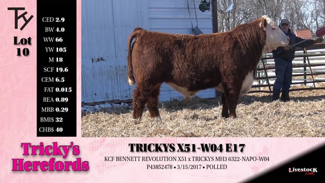Lot #10 - 