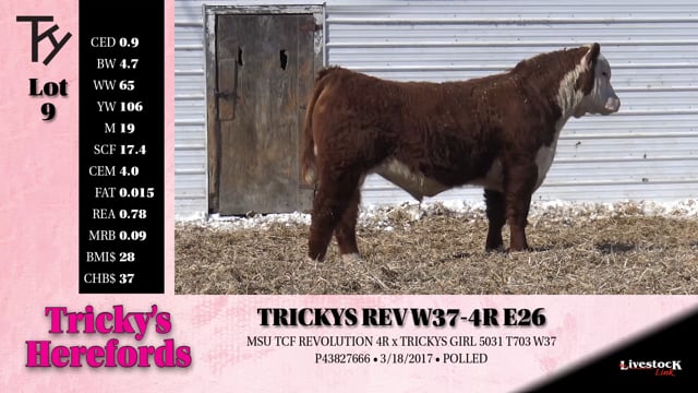 Lot #9 - 