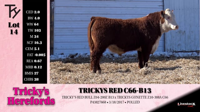 Lot #14 - 