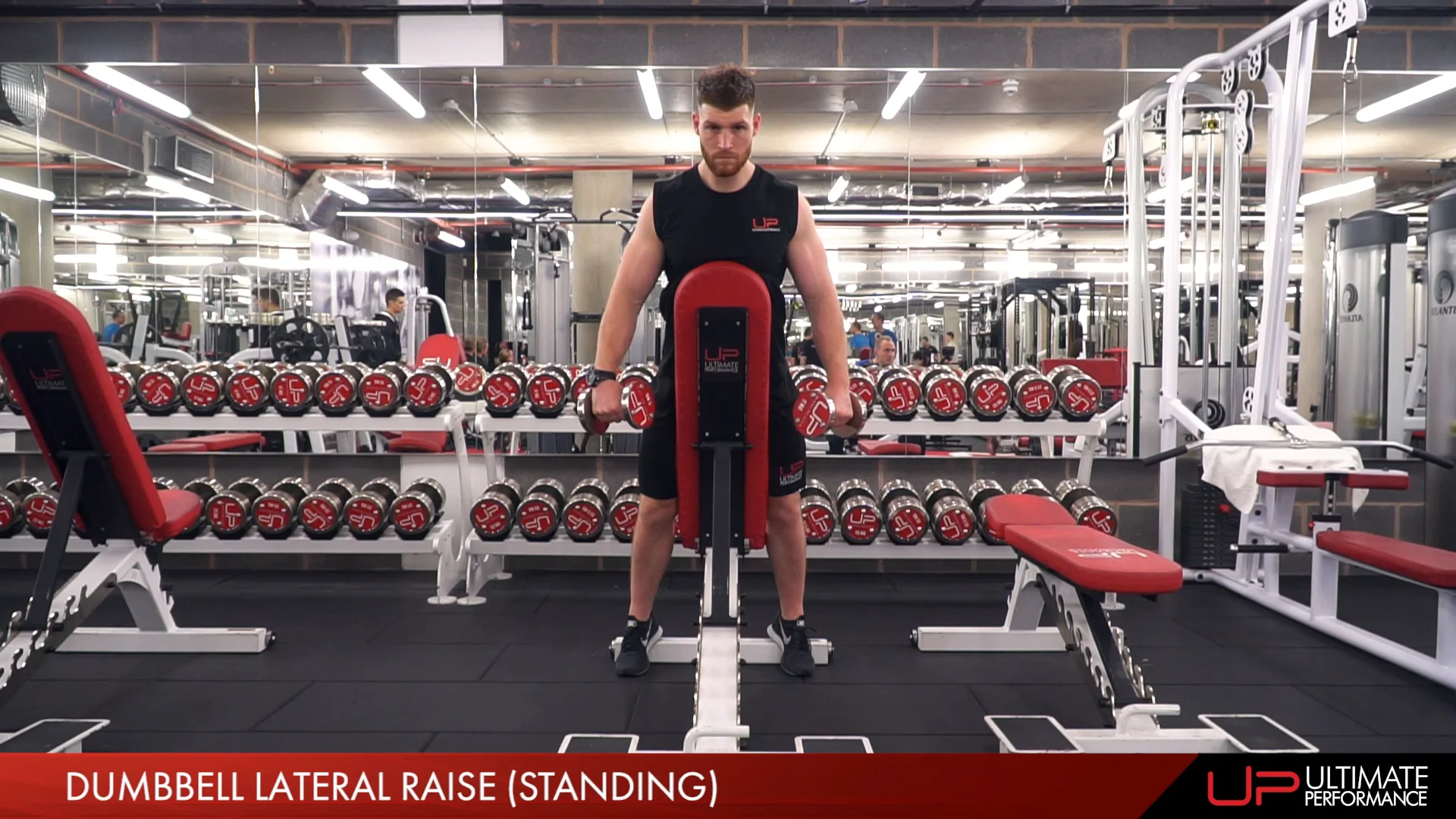 Dumbell lateral raise standing