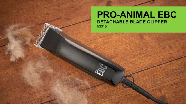 Andis pro outlet clippers for dogs