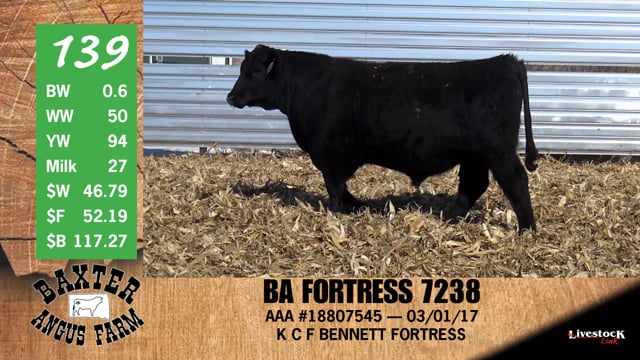 Lot #139 - BA FORTRESS 7238