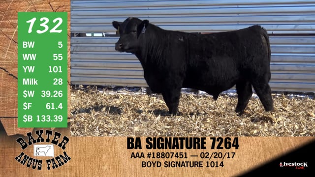 Lot #132 - BA SIGNATURE 7264