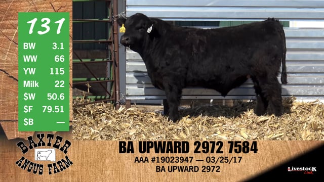 Lot #131 - BA UPWARD 2972 7584