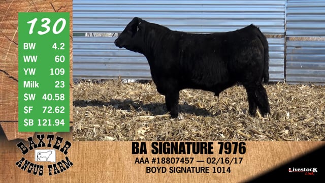 Lot #130 - BA SIGNATURE 7976