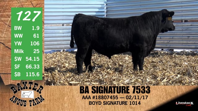 Lot #127 - BA SIGNATURE 7533