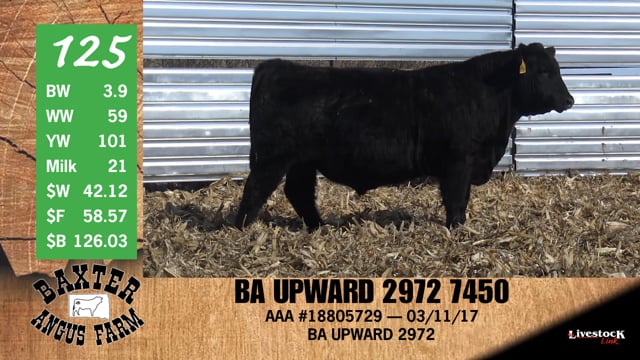 Lot #125 - BA UPWARD 2972 7450