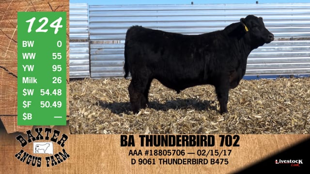 Lot #124 - BA THUNDERBIRD 702
