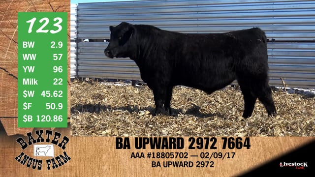 Lot #123 - BA UPWARD 2972 7664