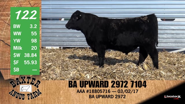 Lot #122 - BA UPWARD 2972 7104