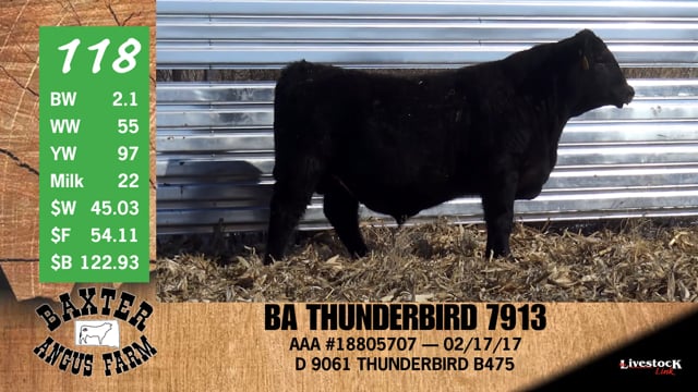 Lot #118 - BA THUNDERBIRD 7913