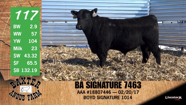 Lot #117 - BA SIGNATURE 7463