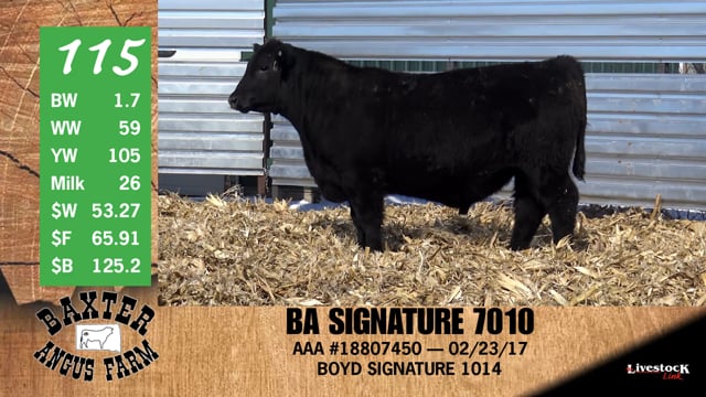 Lot #115 - BA SIGNATURE 7010
