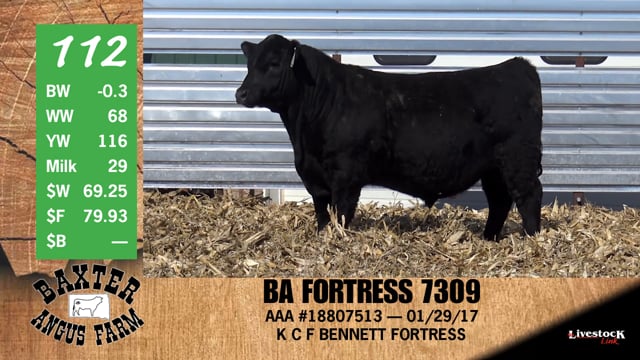 Lot #112 - BA FORTRESS 7309