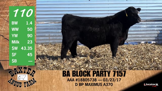Lot #110 - BA BLOCK PARTY 7157