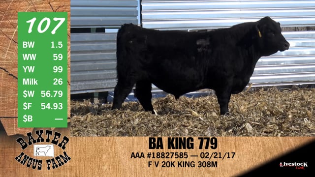 Lot #107 - BA KING 779