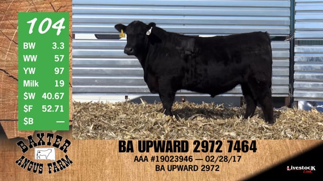 Lot #104 - BA UPWARD 2972 7464