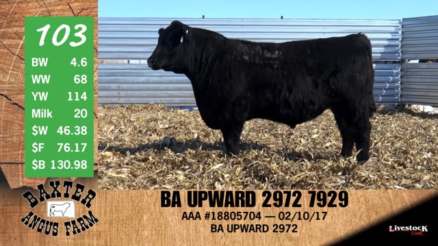 Lot #103 - BA UPWARD 2972 7929