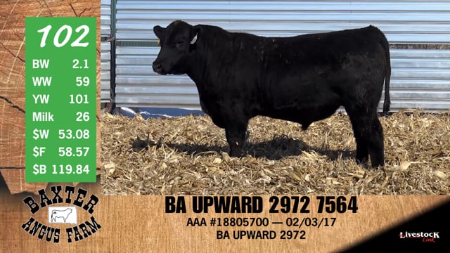 Lot #102 - BA UPWARD 2972 7564