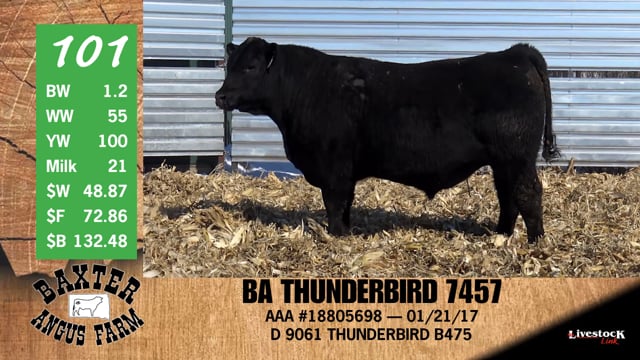 Lot #101 - BA THUNDERBIRD 7457