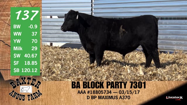 Lot #137 - BA BLOCK PARTY 7301