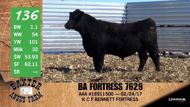Lot #136 - BA FORTRESS 7629