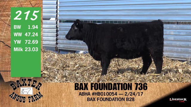 Lot #215 - BAX FOUNDATION 736
