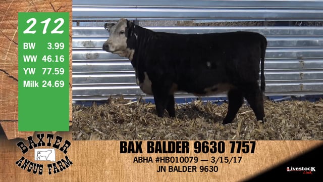 Lot #212 - BAX BALDER 9630 7757