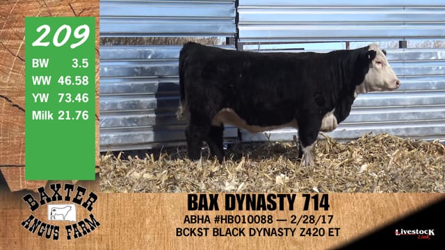 Lot #209 - BAX DYNASTY 714
