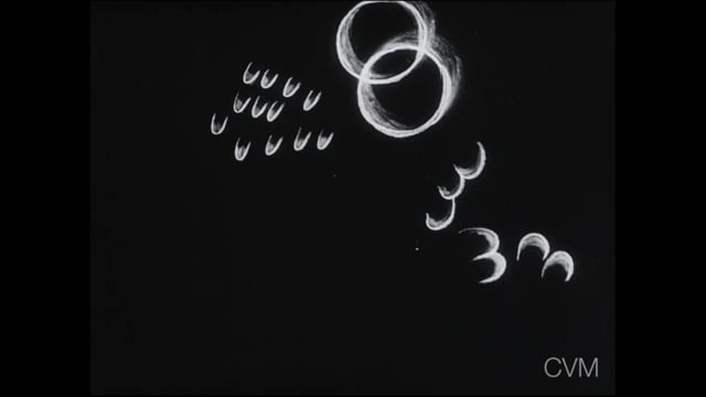 Oskar Fischinger, Studie nr. 5 (excerpt)