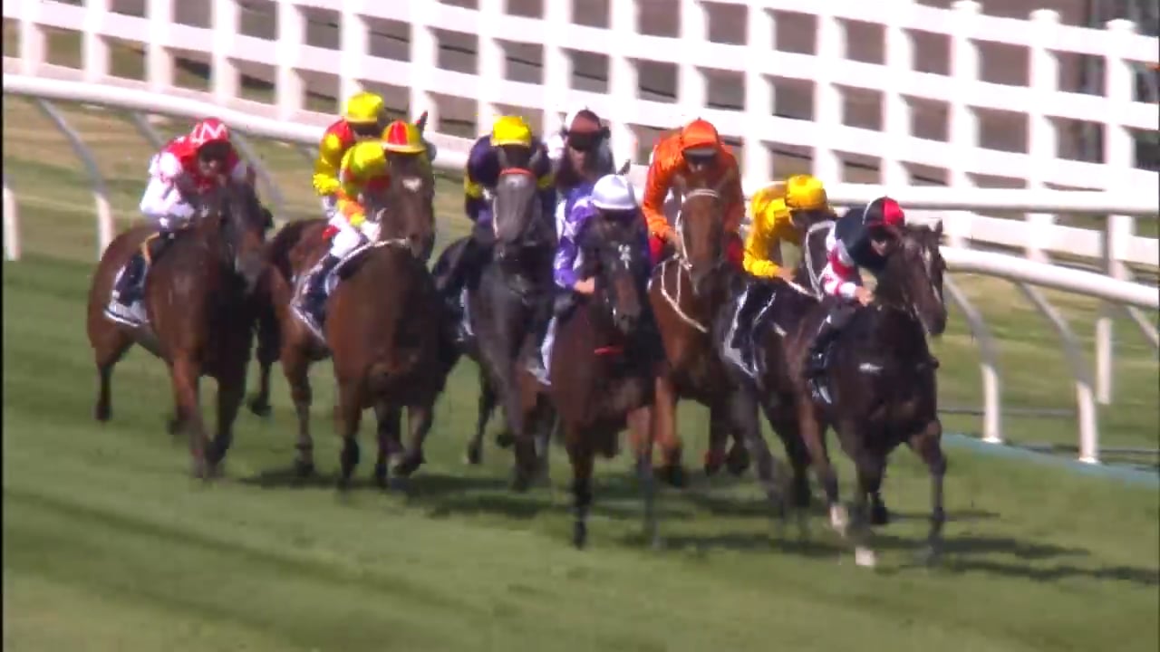 Brazen Beau Newmarket Hcp on Vimeo