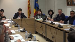 Ple ordinari de març 