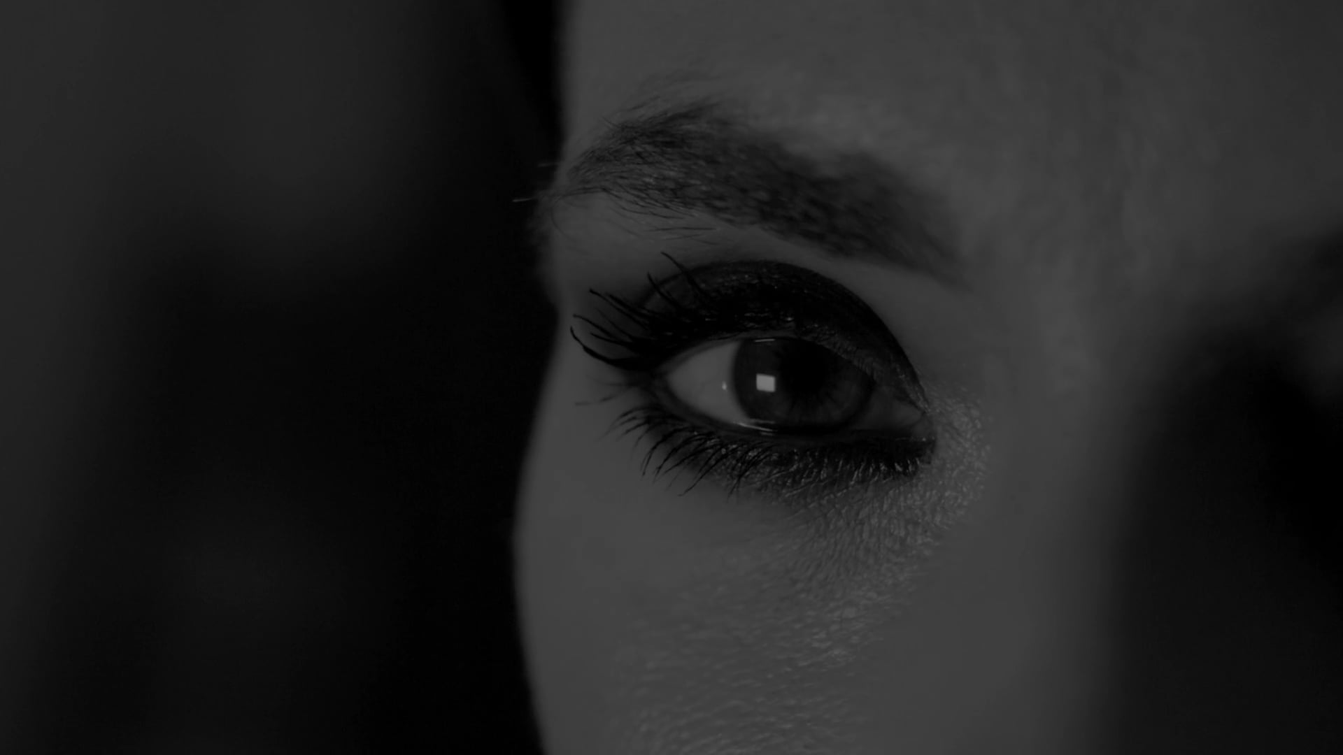 "Desvestint el Gènere".