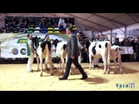 Mejor descendencia de toro