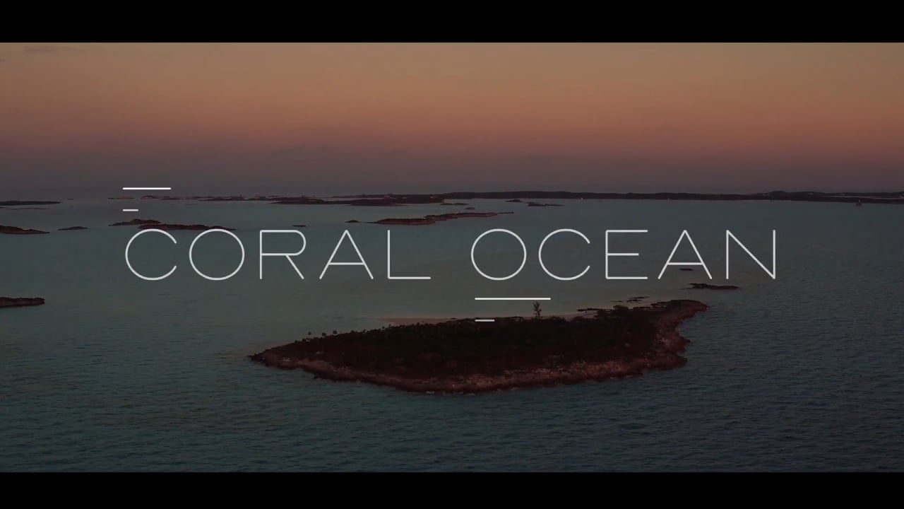 CORAL OCEAN video thumbnail