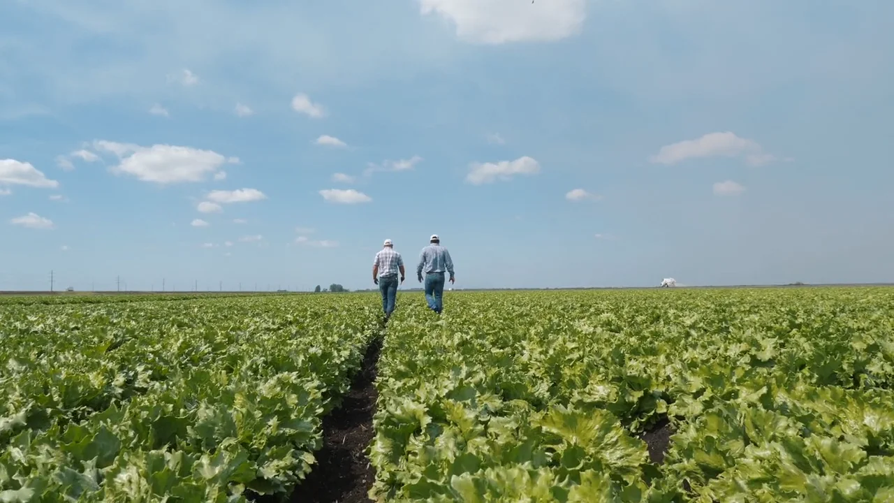 TKI at TKM Belle Glade, Florida (both titles) on Vimeo