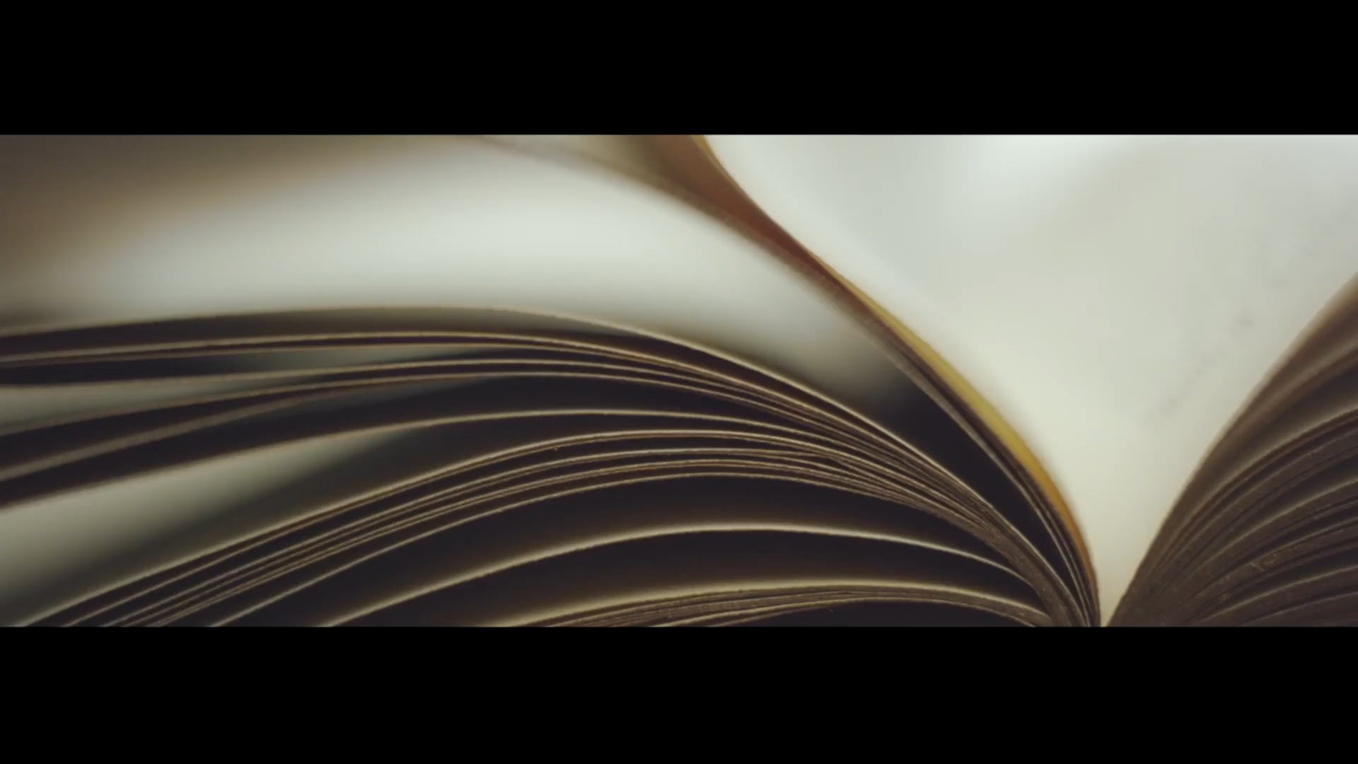 SBB | Der Herzschlag der Schweiz-DC