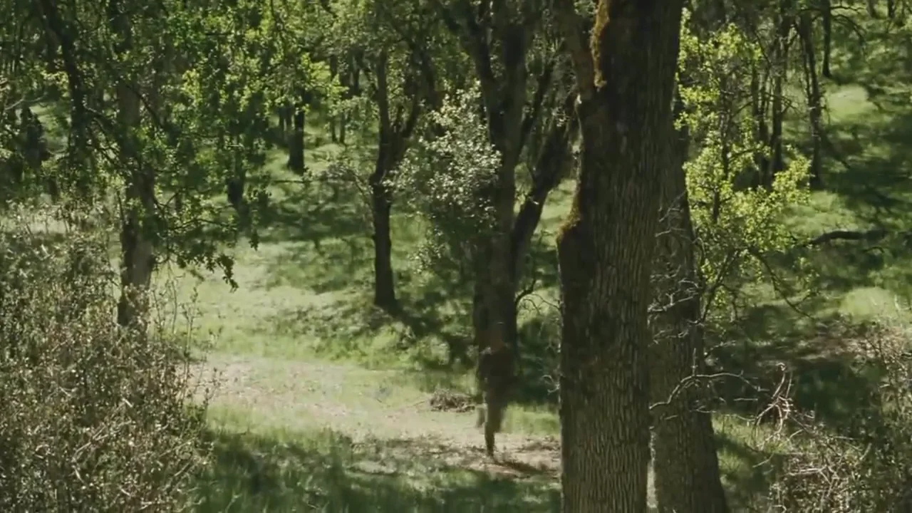 Basic Training - Week 09 - We Were Soldiers on Vimeo
