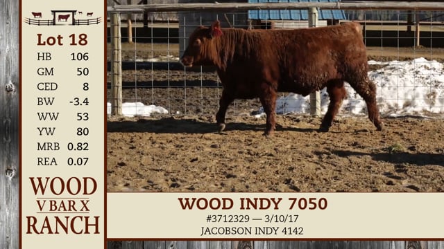 Lot #18 - WOOD INDY 7050