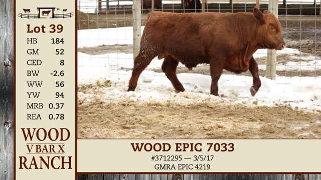 Lot #39 - WOOD EPIC 7033