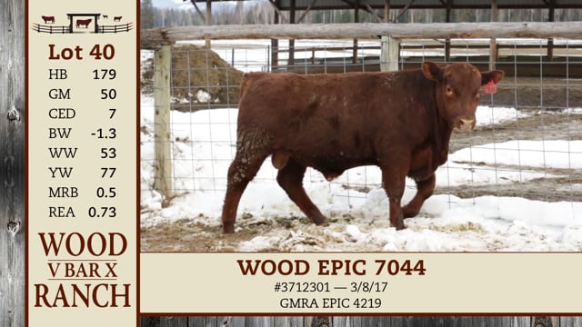 Lot #40 - WOOD EPIC 7044