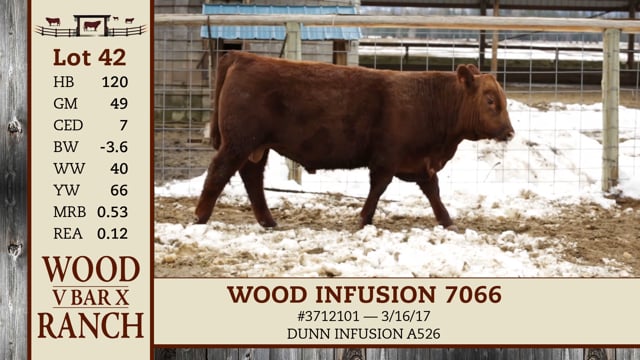 Lot #42 - WOOD INFUSION 7066