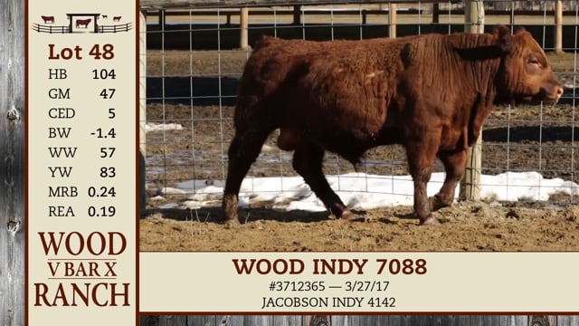 Lot #48 - WOOD INDY 7088