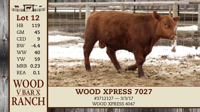 Lot #12 - WOOD XPRESS 7027