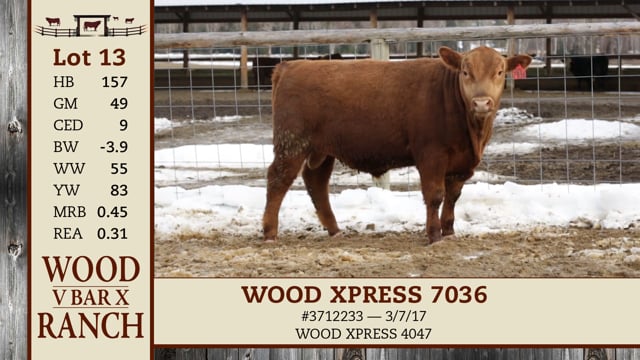Lot #13 - WOOD XPRESS 7036