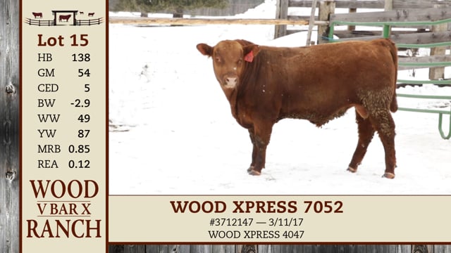 Lot #15 - WOOD XPRESS 7052