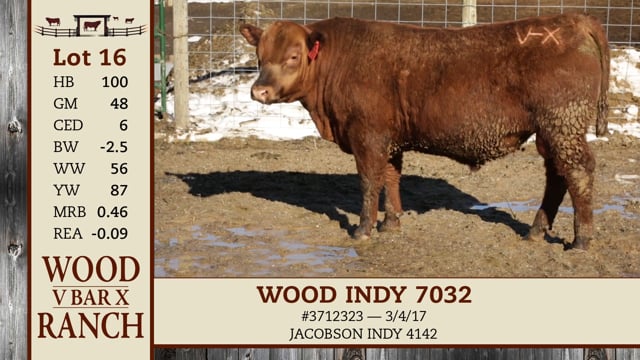 Lot #16 - WOOD INDY 7032