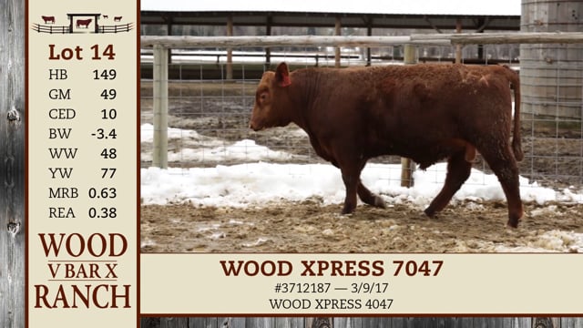 Lot #14 - WOOD XPRESS 7047